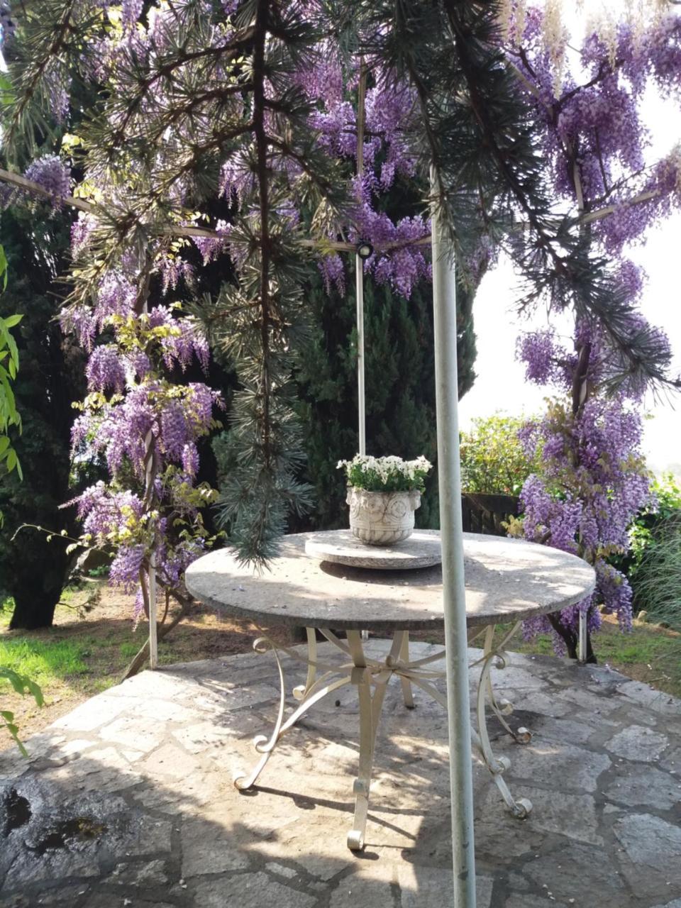 Novecento B&B Bollengo Dış mekan fotoğraf