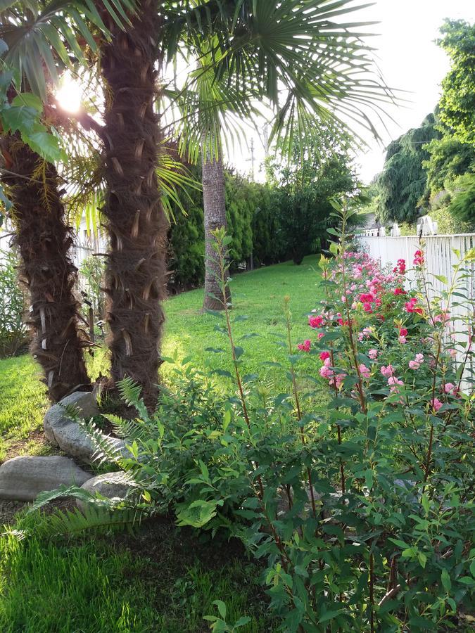 Novecento B&B Bollengo Dış mekan fotoğraf