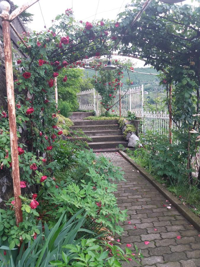 Novecento B&B Bollengo Dış mekan fotoğraf
