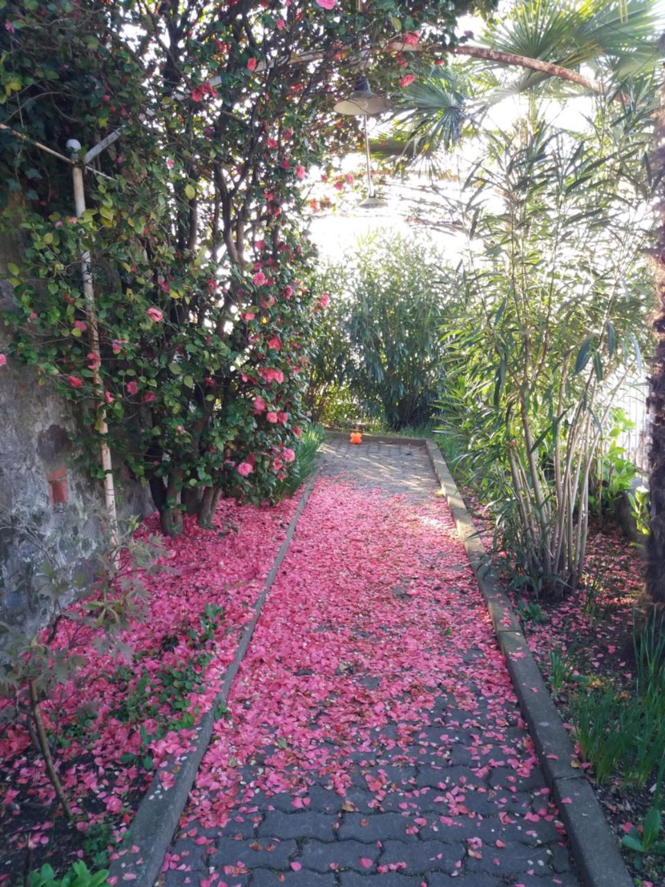 Novecento B&B Bollengo Dış mekan fotoğraf